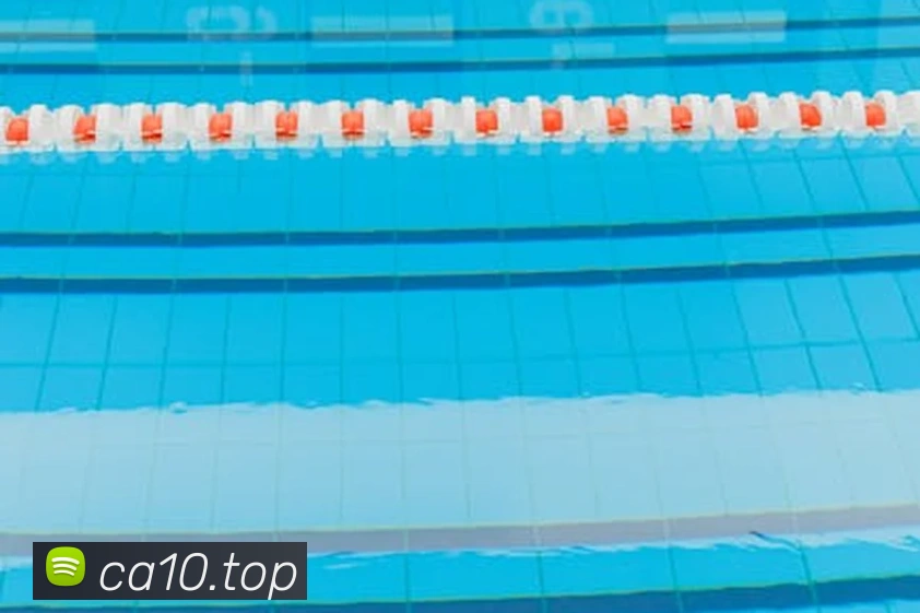 企业概况
